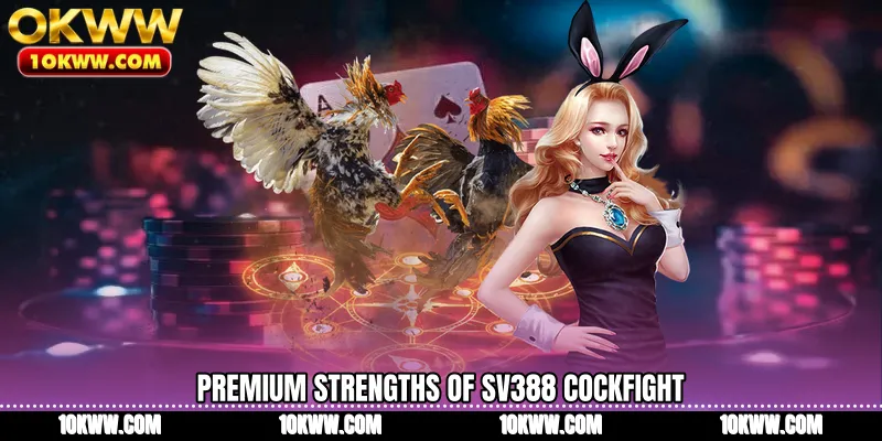 Premium strengths of SV388 Cockfight