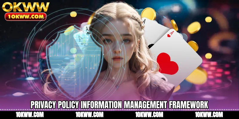 Privacy Policy information management framework
