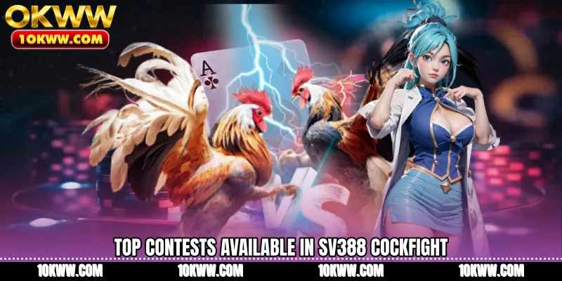 Top contests available in SV388 Cockfight